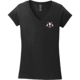 Scary Badgers Softstyle Ladies Fit V-Neck T-Shirt