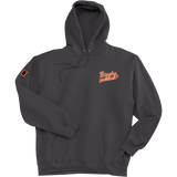 Biggby Coffee AAA Super Heavyweight Fleece Hoodie