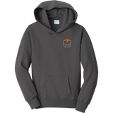 Danville Iron Youth Fan Favorite Fleece Pullover Hooded Sweatshirt